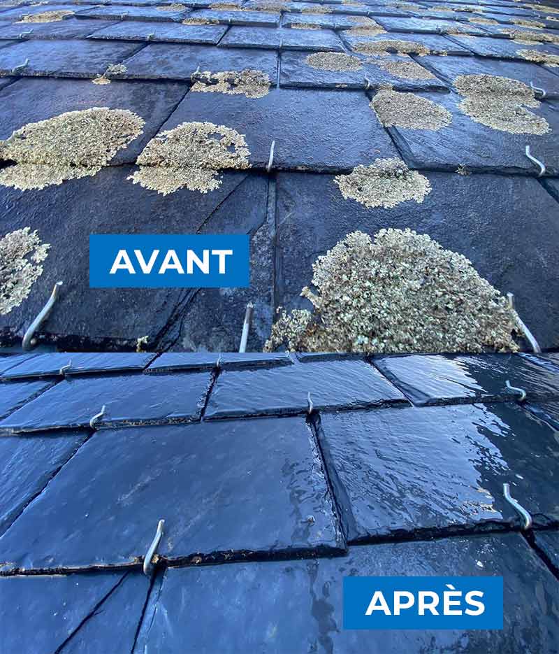 Nettoyage et démoussage toiture - TECHNIQUE PRO COUVERTURE : Artisan couvreur à Quimper et dans le Finistère sud (29) : Nettoyage, démoussage toiture, traitement anti mousse et application d’une peinture hydrofuge colorée pour toit sur Quimper … dans le Finistère sud (29)