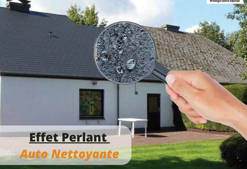 Nettoyage et démoussage toiture - TECHNIQUE PRO COUVERTURE : Artisan couvreur à Quimper et dans le Finistère sud (29) : Nettoyage, démoussage toiture, traitement anti mousse et application d’une peinture hydrofuge colorée pour toit sur Quimper … dans le Finistère sud (29)