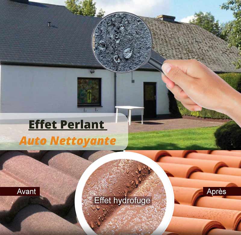 Nettoyage et démoussage toiture - TECHNIQUE PRO COUVERTURE : Artisan couvreur à Quimper et dans le Finistère sud (29) : Nettoyage, démoussage toiture, traitement anti mousse et application d’une peinture hydrofuge colorée pour toit sur Quimper … dans le Finistère sud (29)